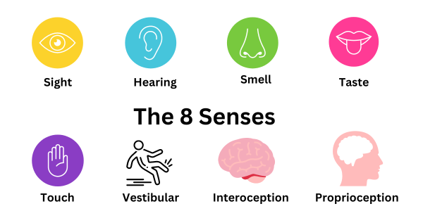 The 8 Senses