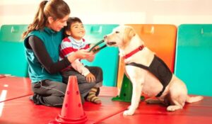 Occupational therapist with a young boy and a therapy dog